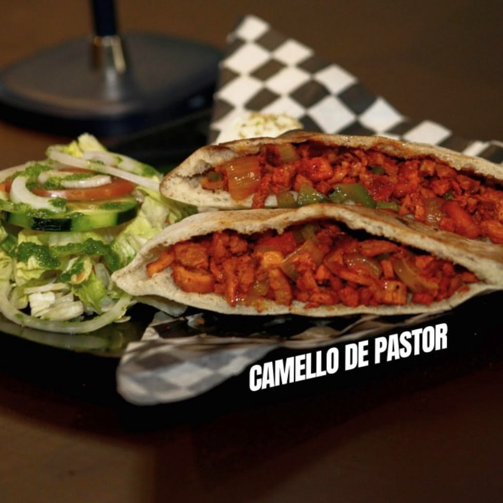 Camello de Pastor